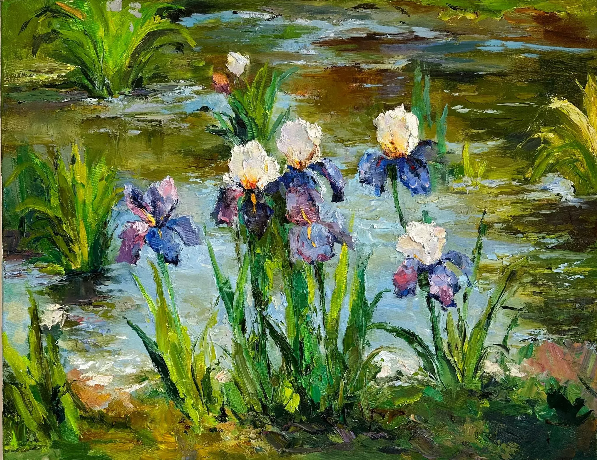 Irises