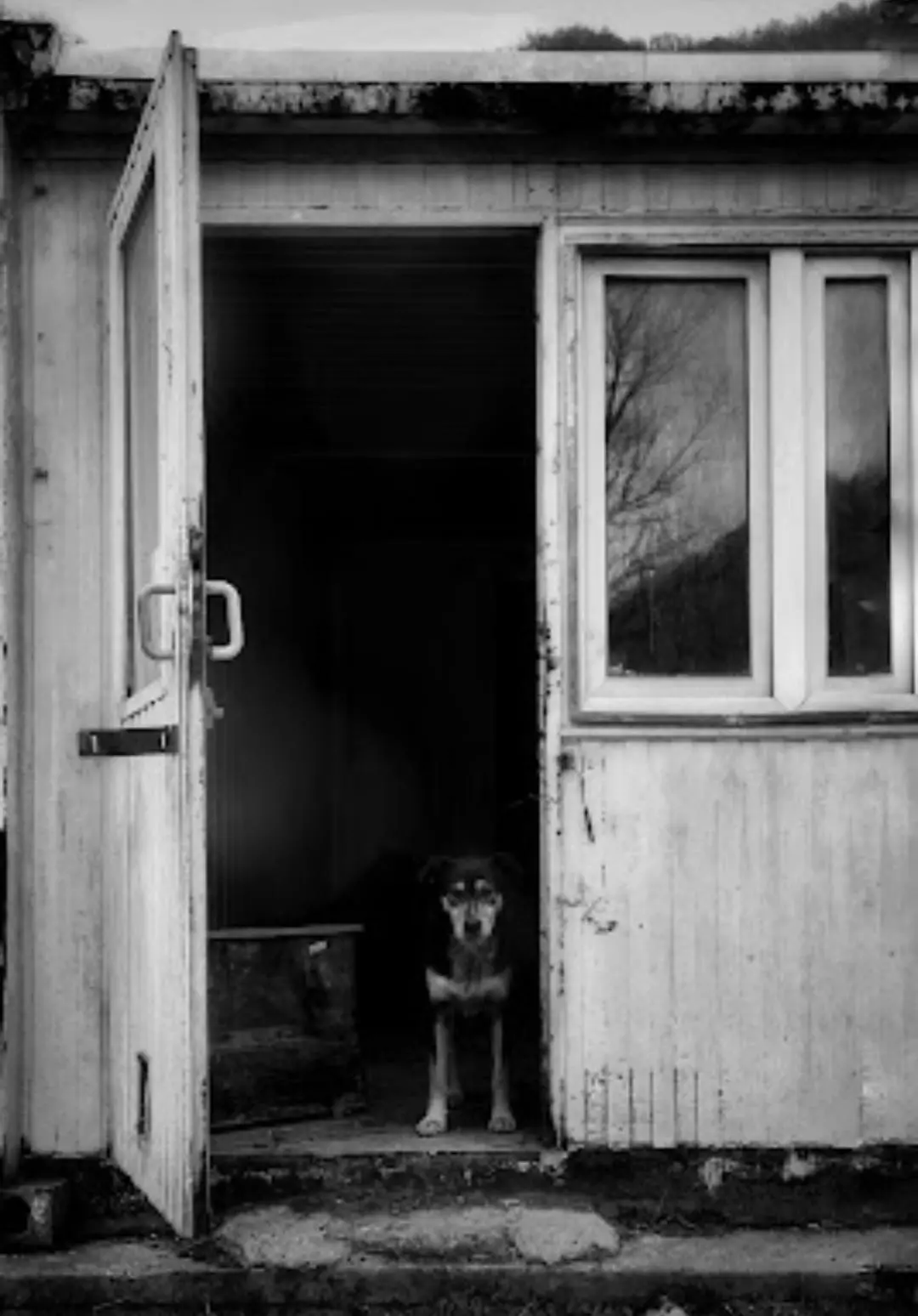 Deserted shack, Bosnia, 2019