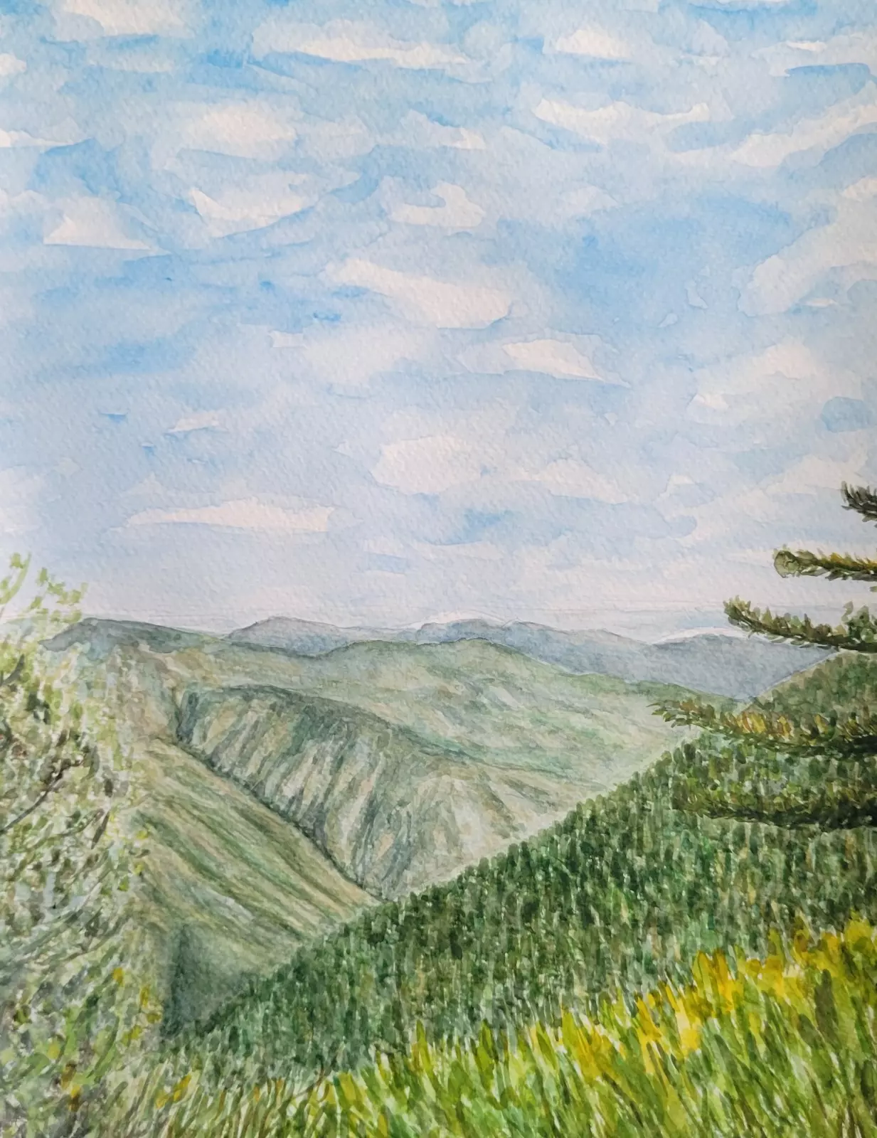 Los Angeles National Forest. Watercolor on paper.