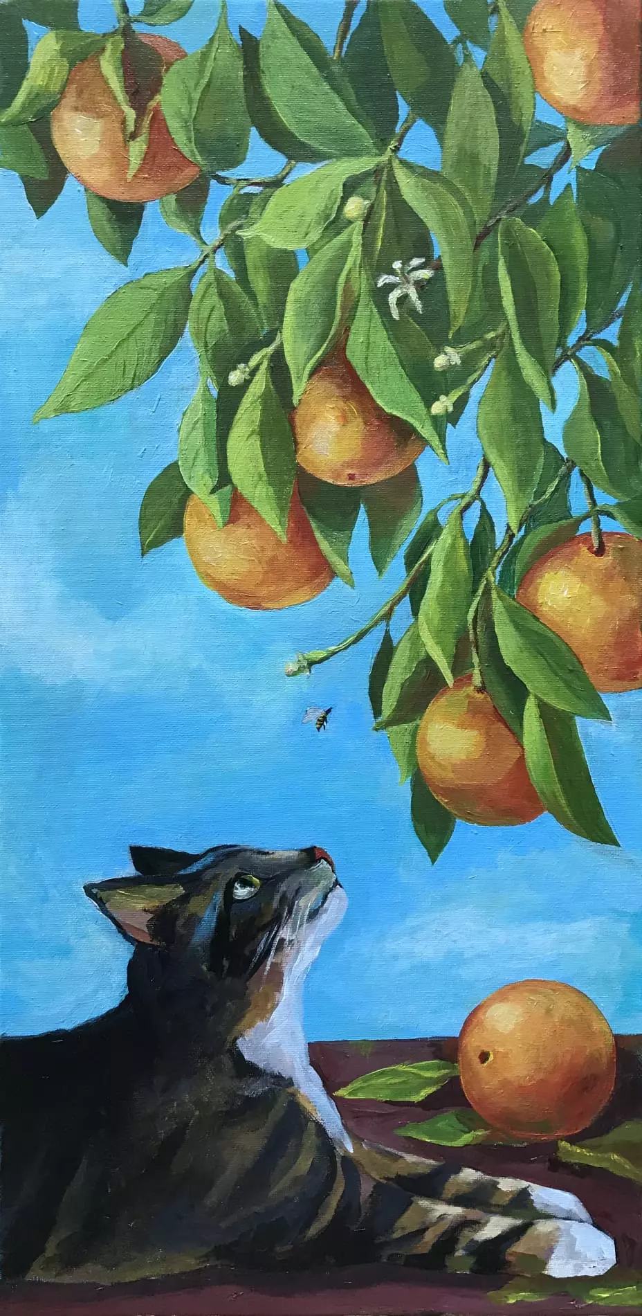 Orange Watcher 1