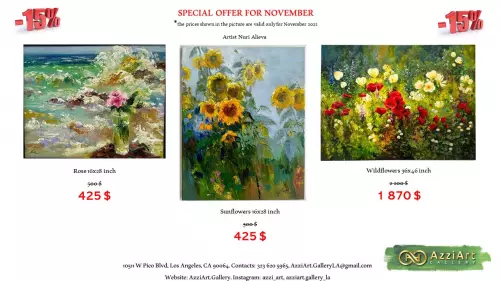 Special offer for NOVEMBER